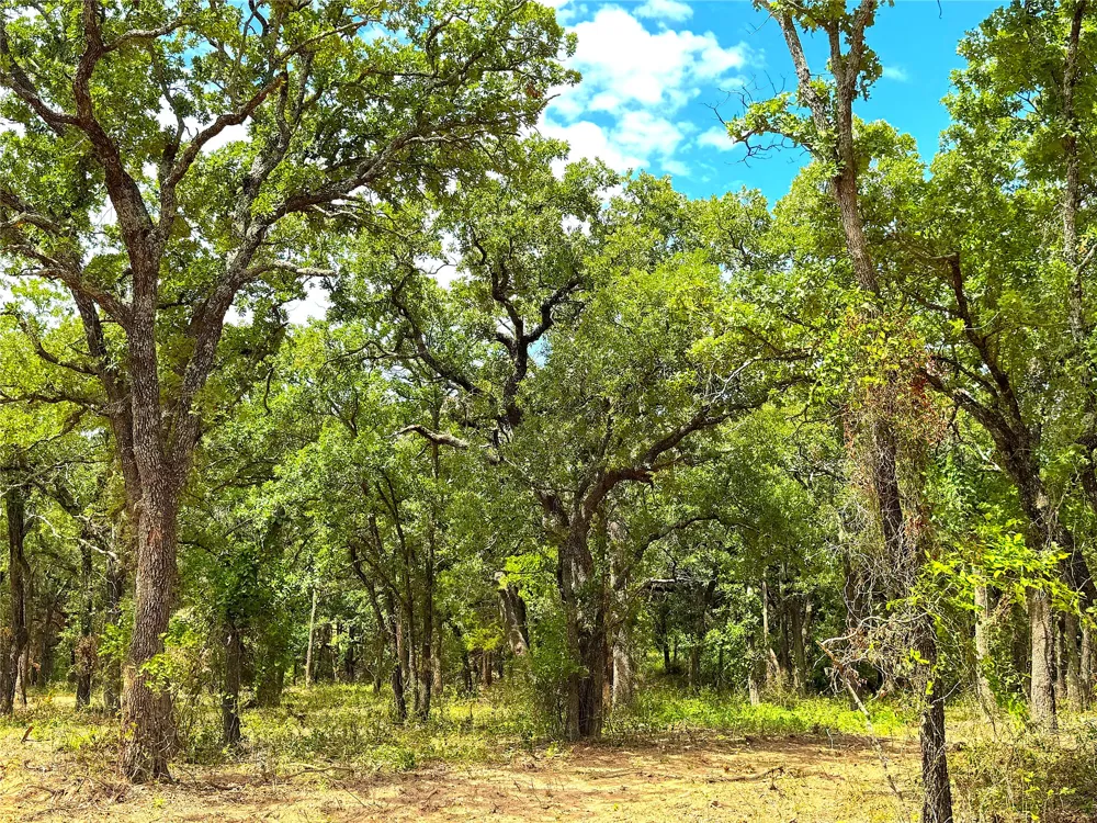 Turpin Lake Road Poolville, TX 76487