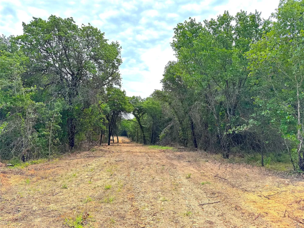 Turpin Lake Road Poolville, TX 76487