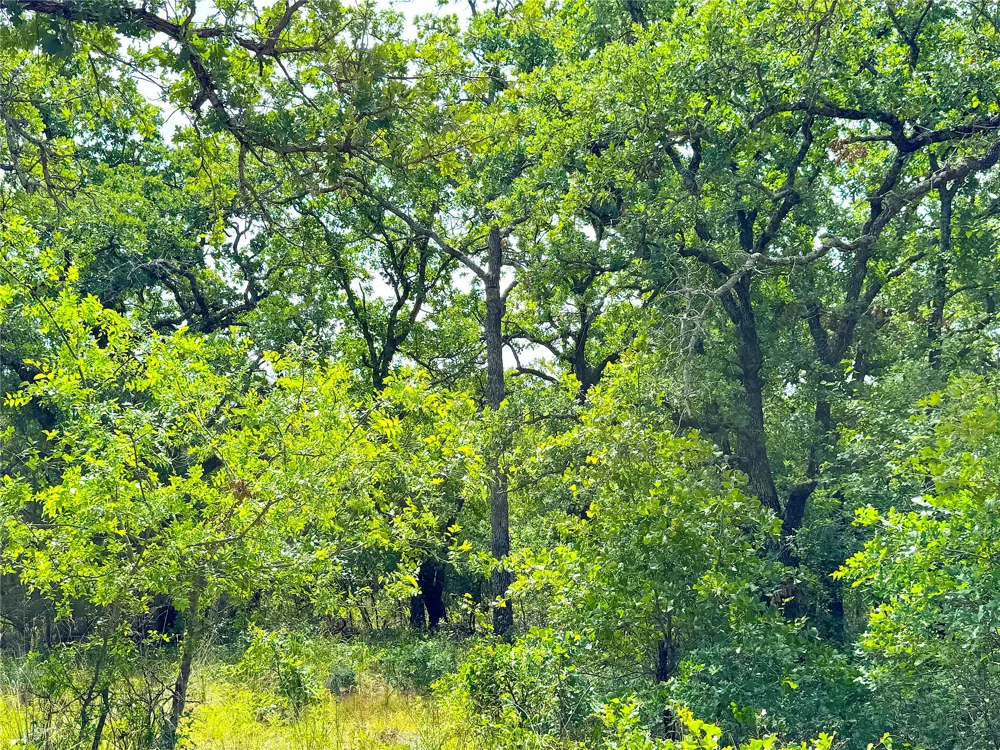 Turpin Lake Road Poolville, TX 76487