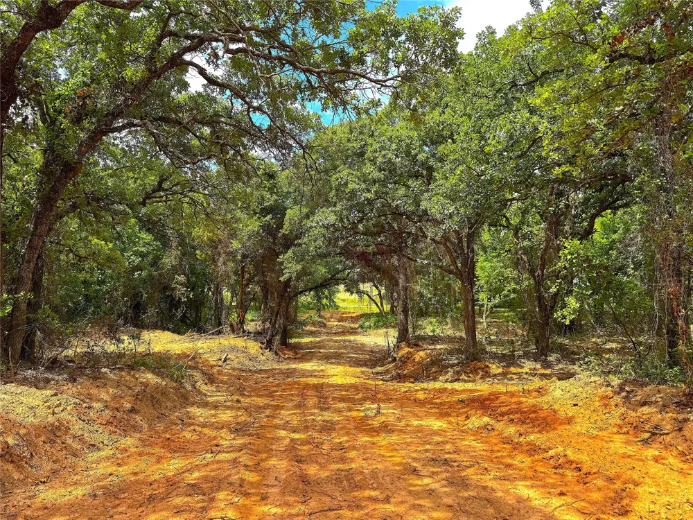 Turpin Lake Road Poolville, TX 76487