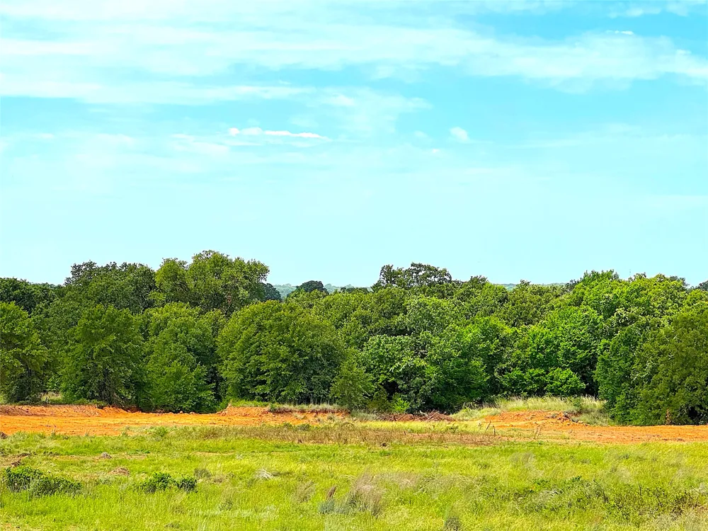 Turpin Lake Road Poolville, TX 76487