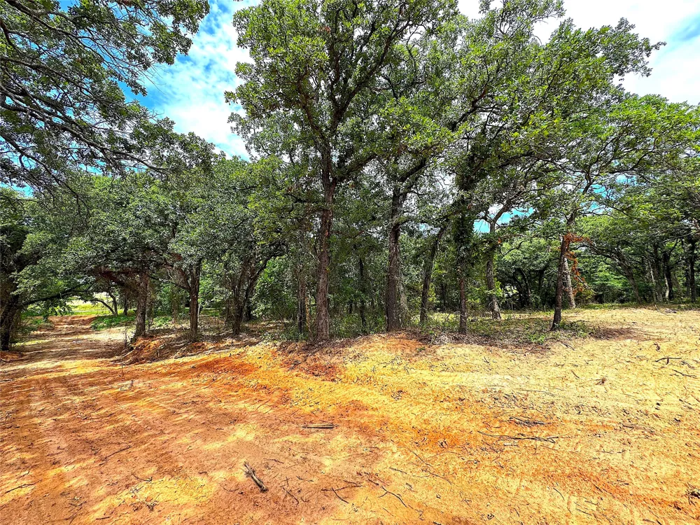 Turpin Lake Road Poolville, TX 76487