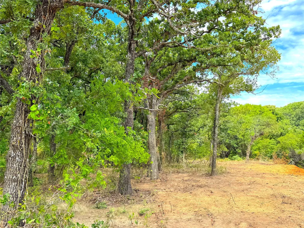 Turpin Lake Road Poolville, TX 76487