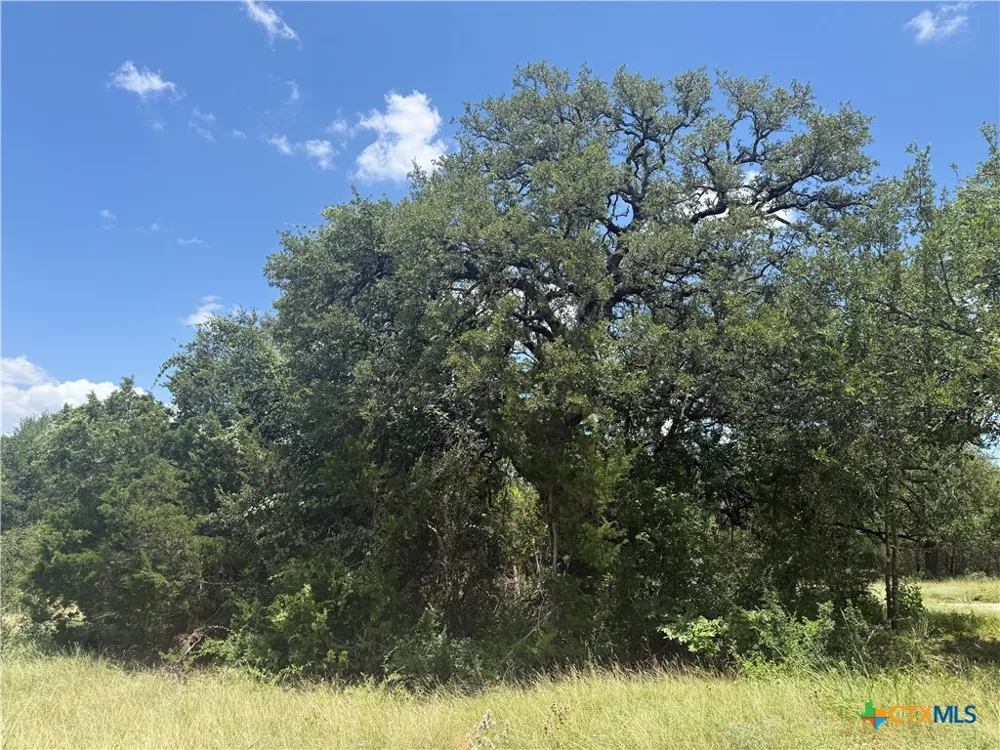 1002 Kenton Parkway Salado, TX 76571