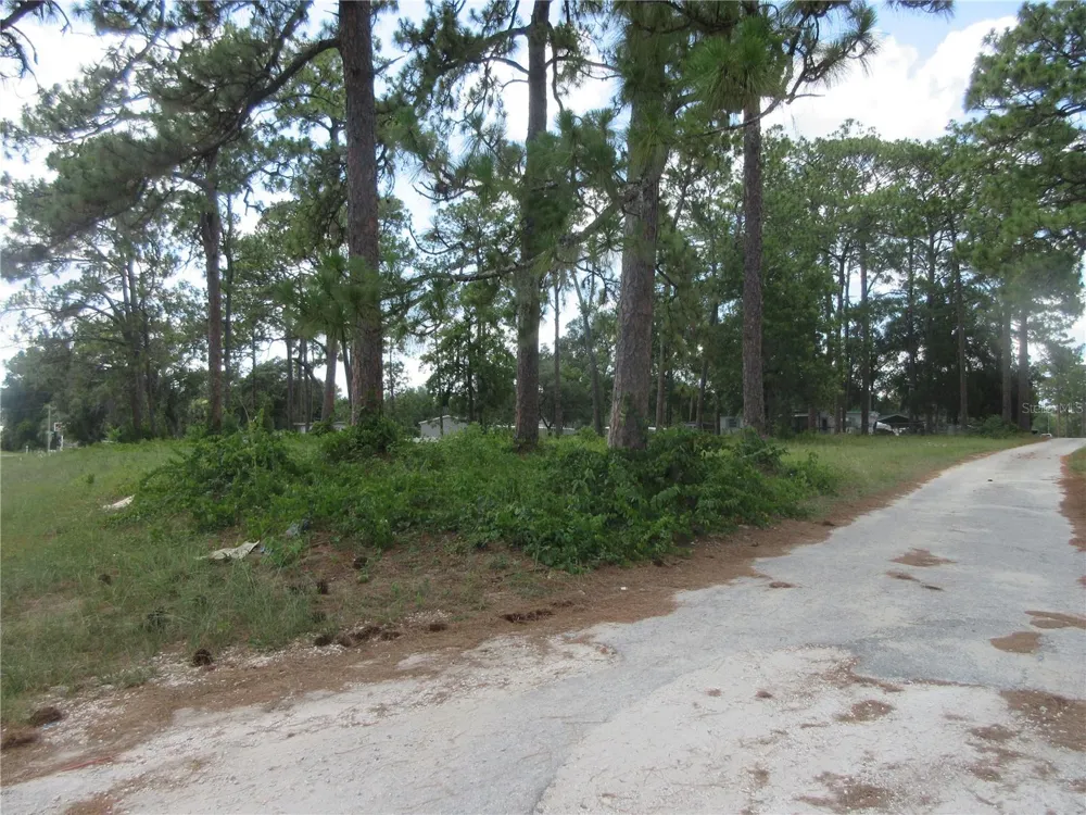 787 SE 162ND TERRACE Silver Springs, FL 34488