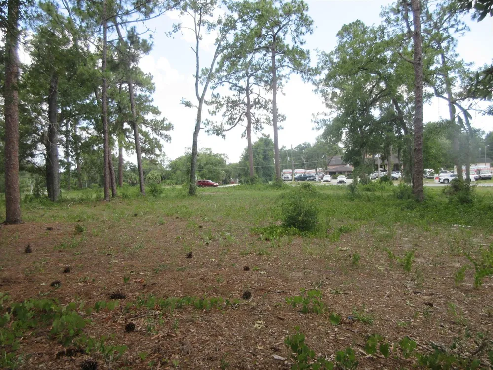 787 SE 162ND TERRACE Silver Springs, FL 34488