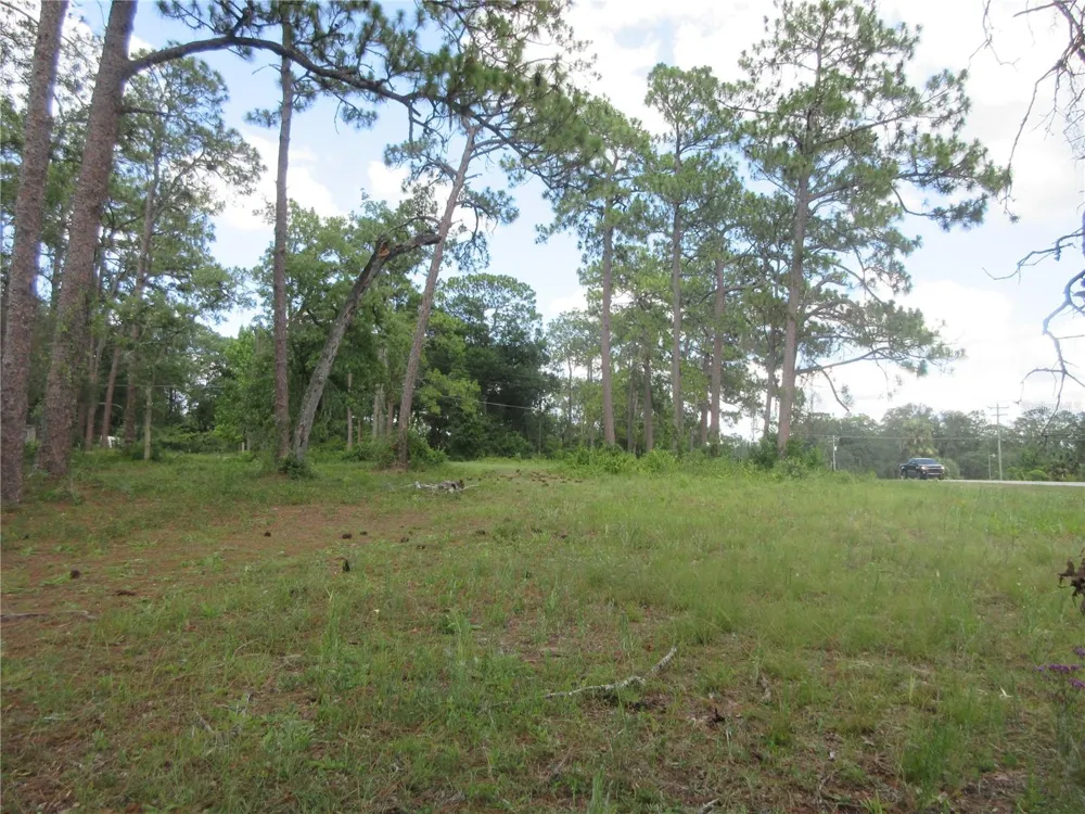 787 SE 162ND TERRACE Silver Springs, FL 34488
