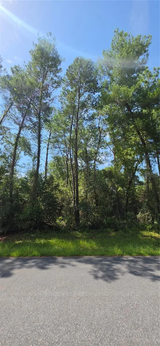0 SW 151 PLACE ocala, FL 34473