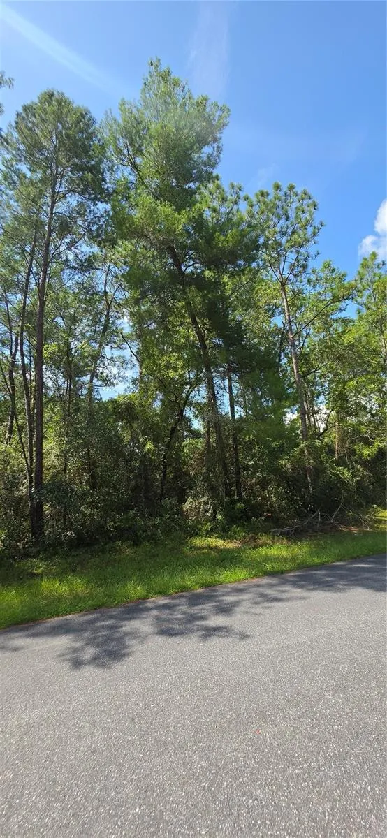 0 SW 151 PLACE ocala, FL 34473