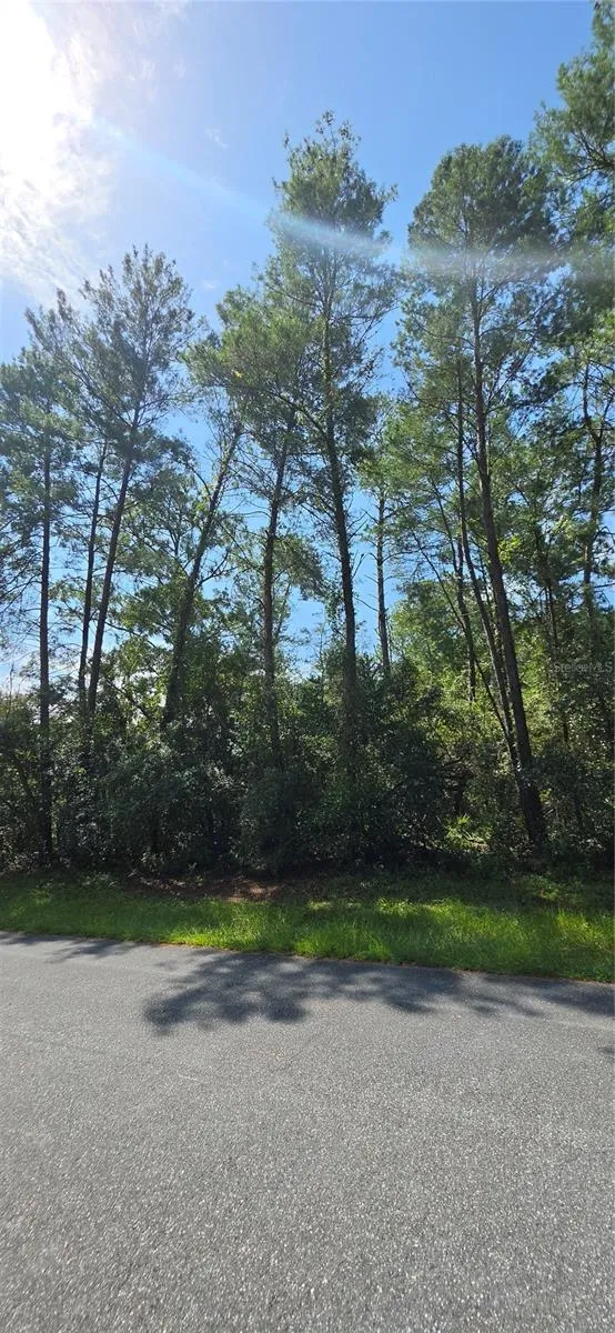 0 SW 151 PLACE ocala, FL 34473