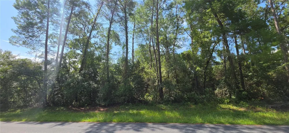 0 SW 151 PLACE ocala, FL 34473
