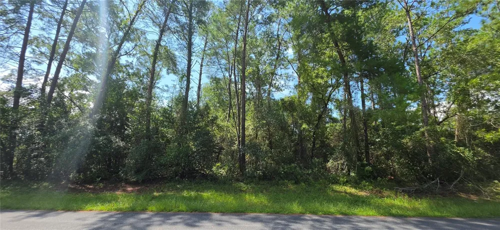 0 SW 151 PLACE ocala, FL 34473