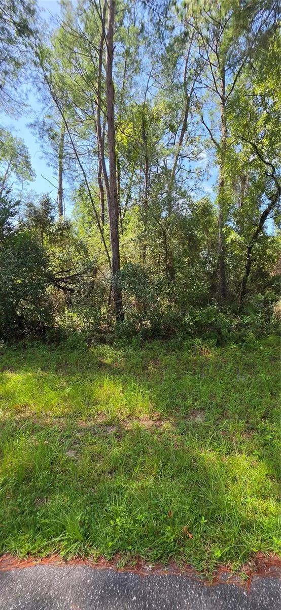 0 SW 151 PLACE ocala, FL 34473