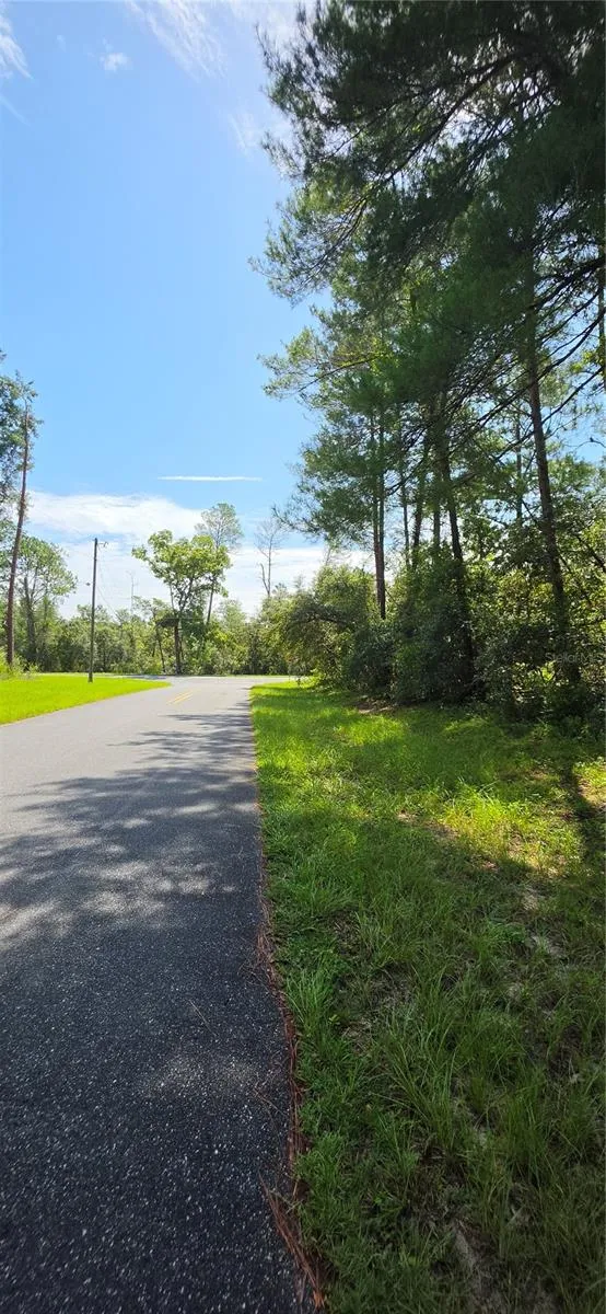 0 SW 151 PLACE ocala, FL 34473