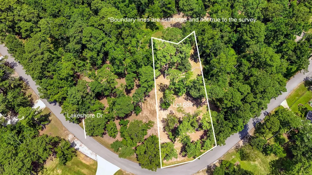 Lakeshore/Black Walniut Drive Coldspring, TX 77331