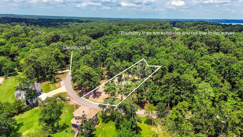 Lakeshore/Black Walniut Drive Coldspring, TX 77331