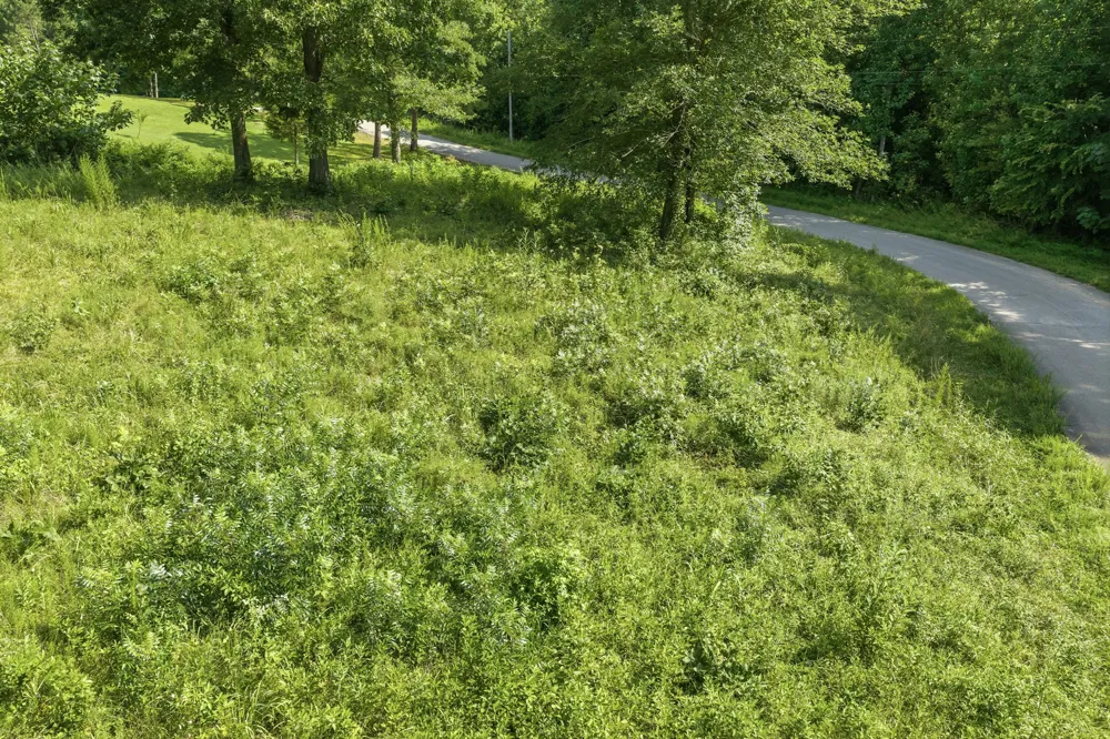 0 Oak pointe Dr Lexington, TN 38351