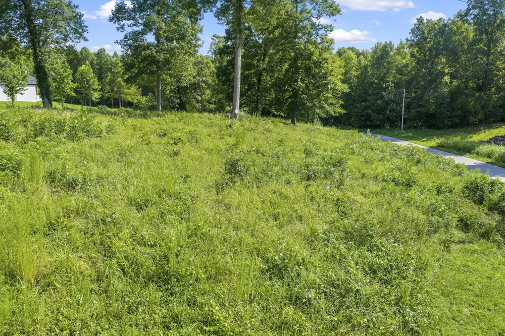 0 Oak pointe Dr Lexington, TN 38351