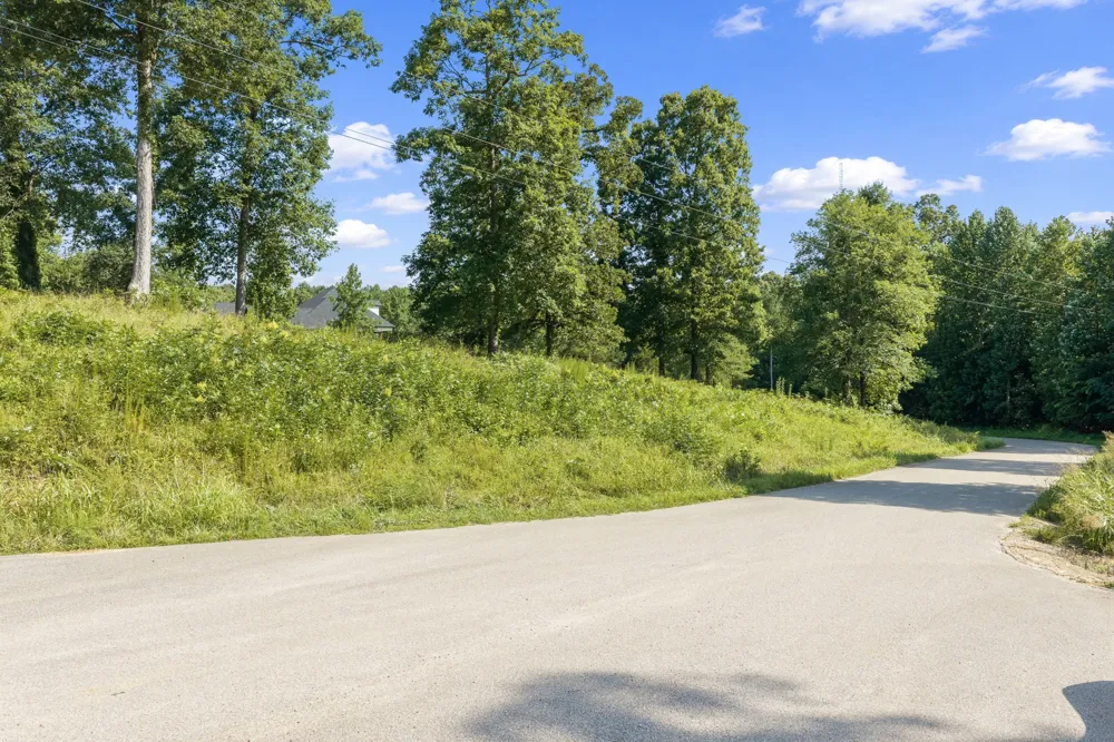 0 Oak pointe Dr Lexington, TN 38351