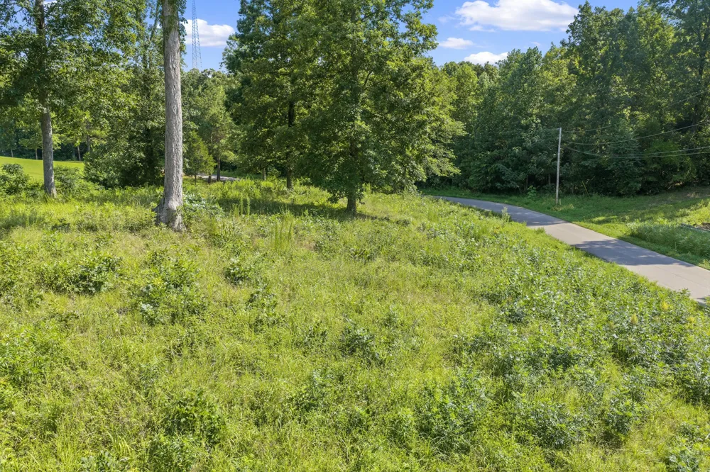 0 Oak pointe Dr Lexington, TN 38351