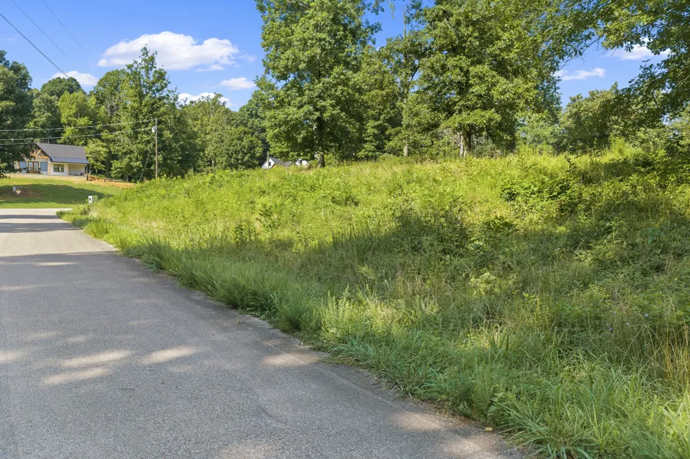 0 Oak pointe Dr Lexington, TN 38351