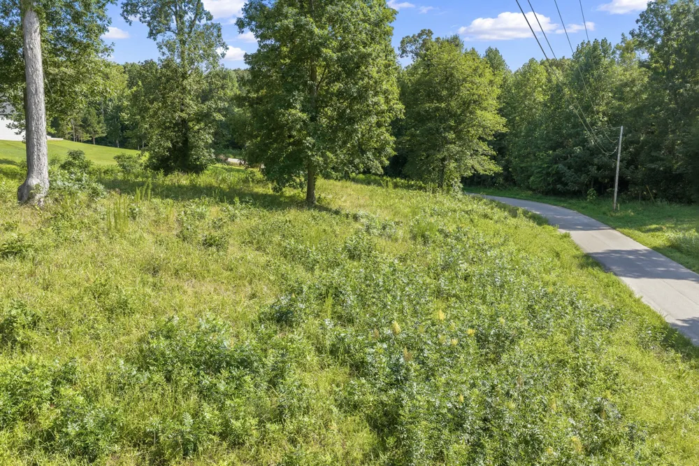 0 Oak pointe Dr Lexington, TN 38351