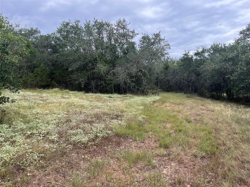 Arbor Trail Buda, TX 78610
