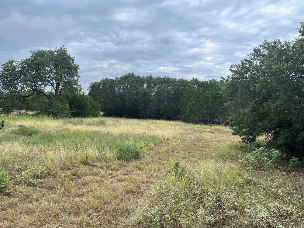Arbor Trail Buda, TX 78610