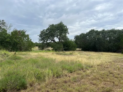 Arbor Trail