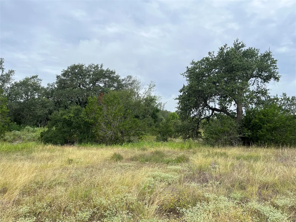 Arbor Trail Buda, TX 78610