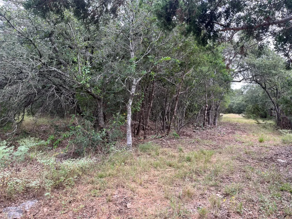 Arbor Trail Buda, TX 78610
