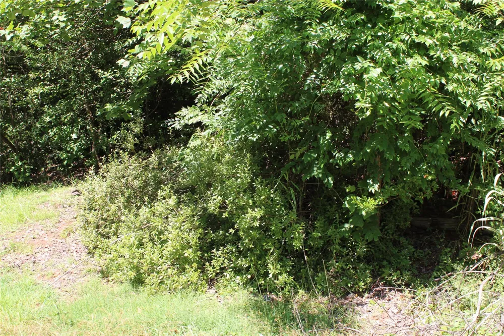 3041 Bills Creek Road Lake Lure, NC 28746