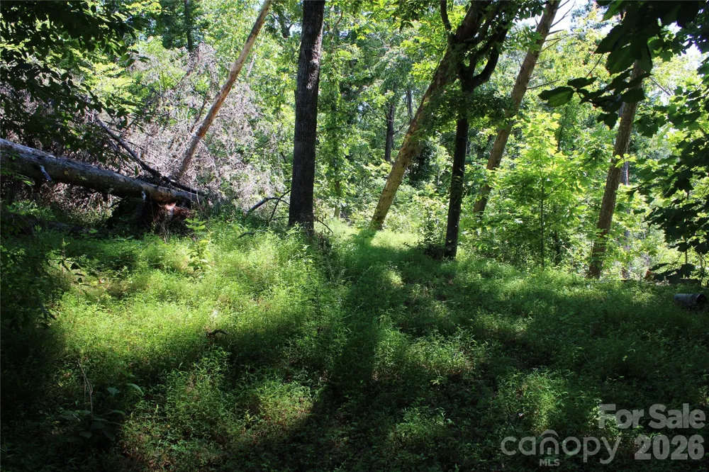 3041 Bills Creek Road Lake Lure, NC 28746
