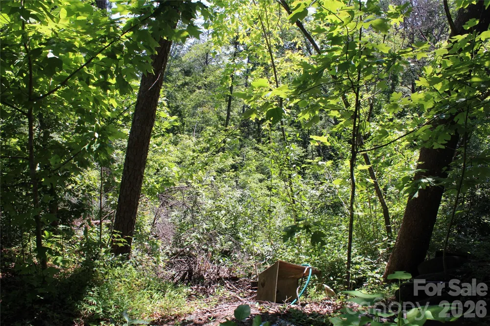 3041 Bills Creek Road Lake Lure, NC 28746