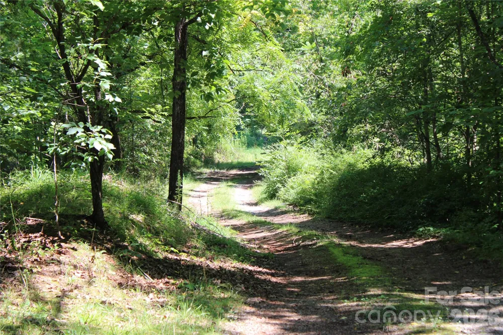 3041 Bills Creek Road Lake Lure, NC 28746