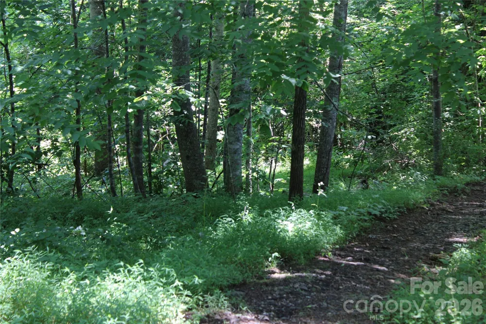 3041 Bills Creek Road Lake Lure, NC 28746