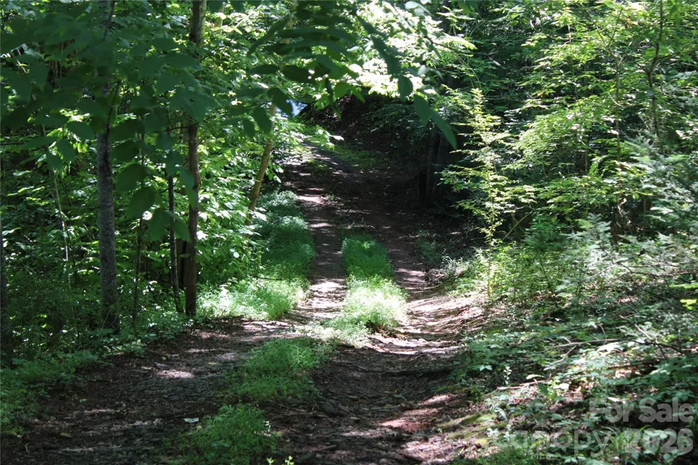 3041 Bills Creek Road Lake Lure, NC 28746