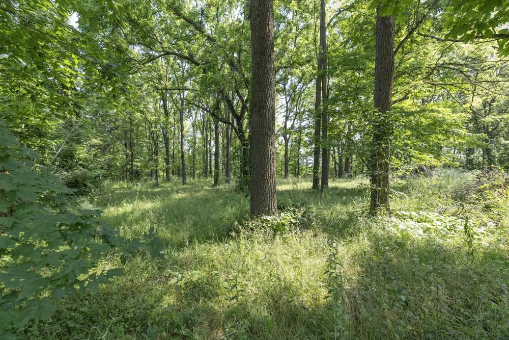 68555 Union Road Union, MI 49130
