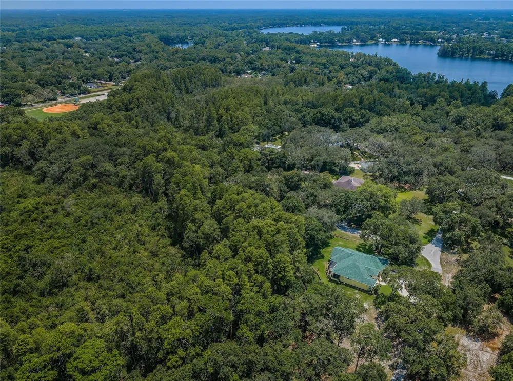 COQUI COURT Odessa, FL 33556