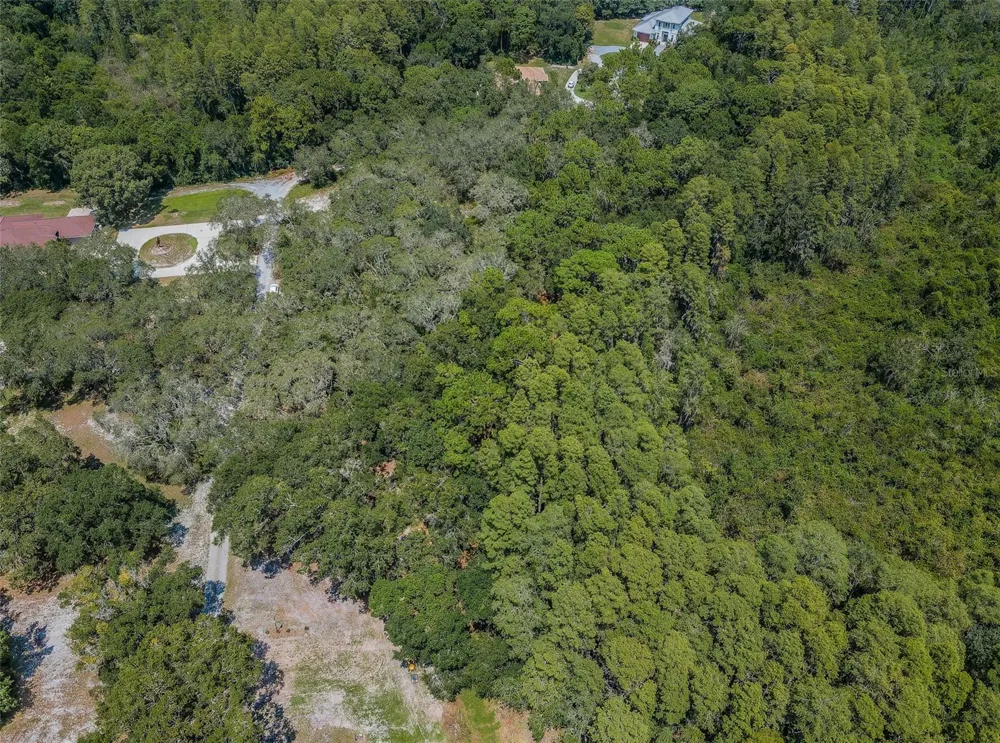 COQUI COURT Odessa, FL 33556