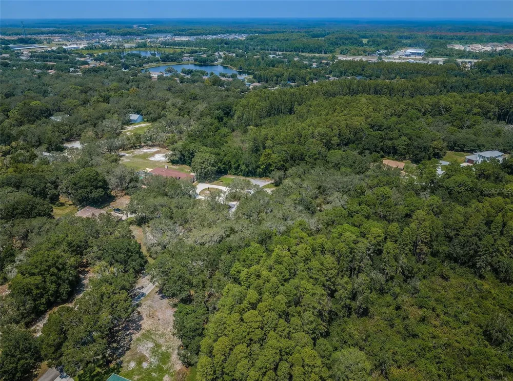 COQUI COURT Odessa, FL 33556