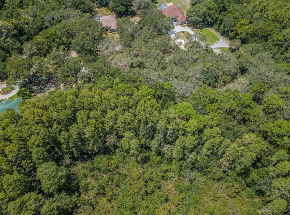 COQUI COURT Odessa, FL 33556