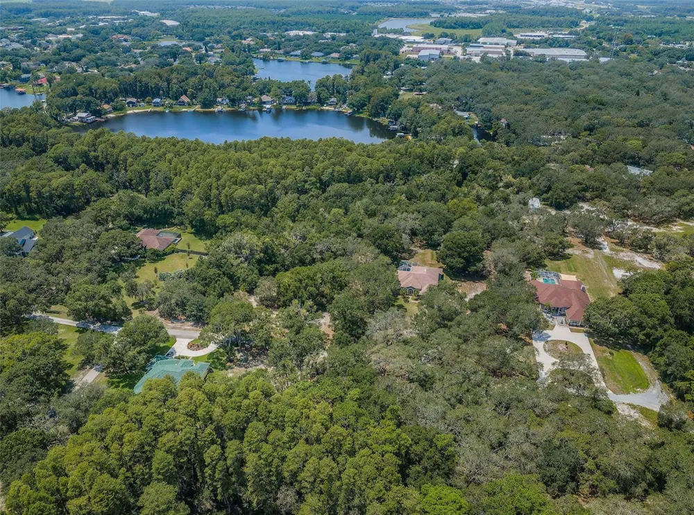 COQUI COURT Odessa, FL 33556