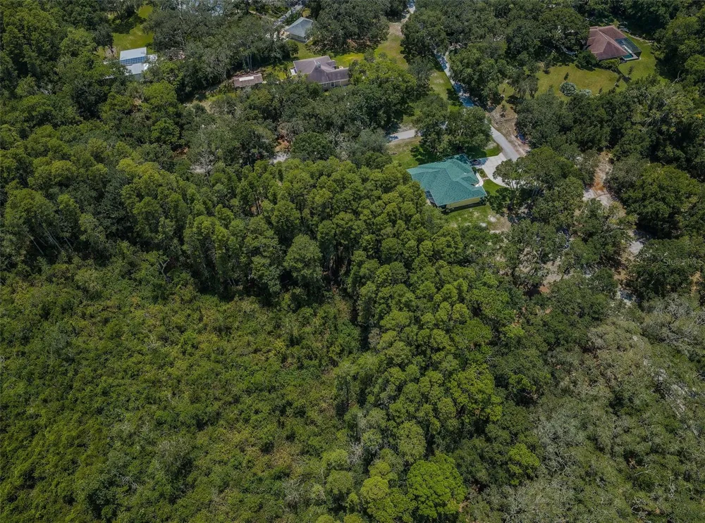 COQUI COURT Odessa, FL 33556