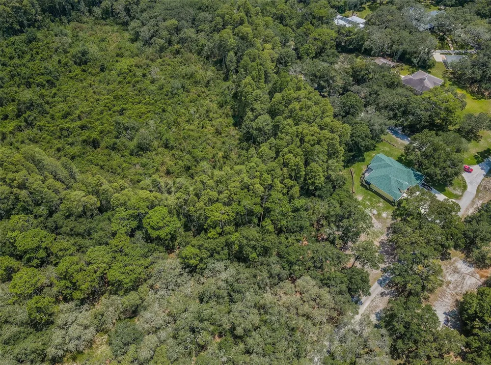 COQUI COURT Odessa, FL 33556