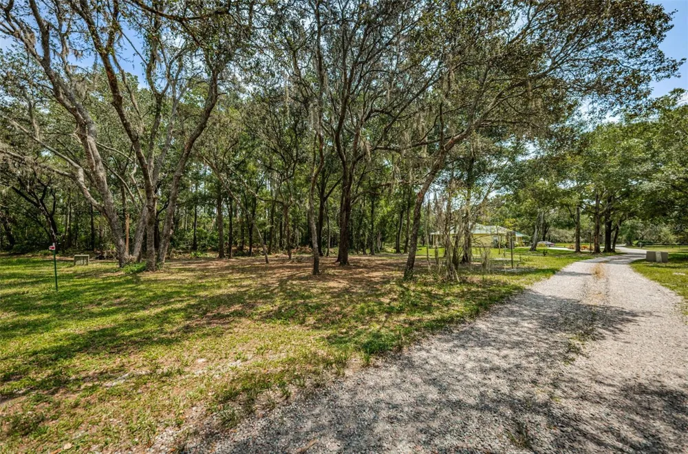 COQUI COURT Odessa, FL 33556