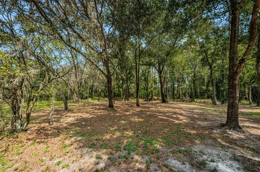 COQUI COURT Odessa, FL 33556