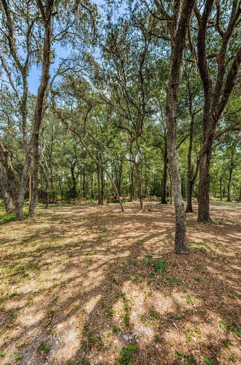 COQUI COURT Odessa, FL 33556
