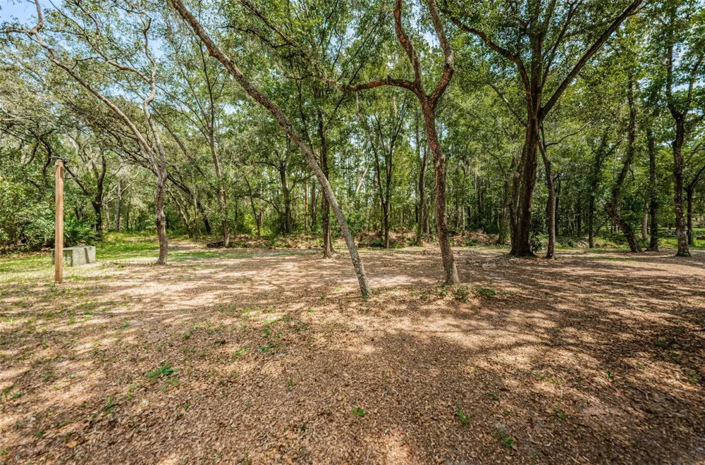 COQUI COURT Odessa, FL 33556