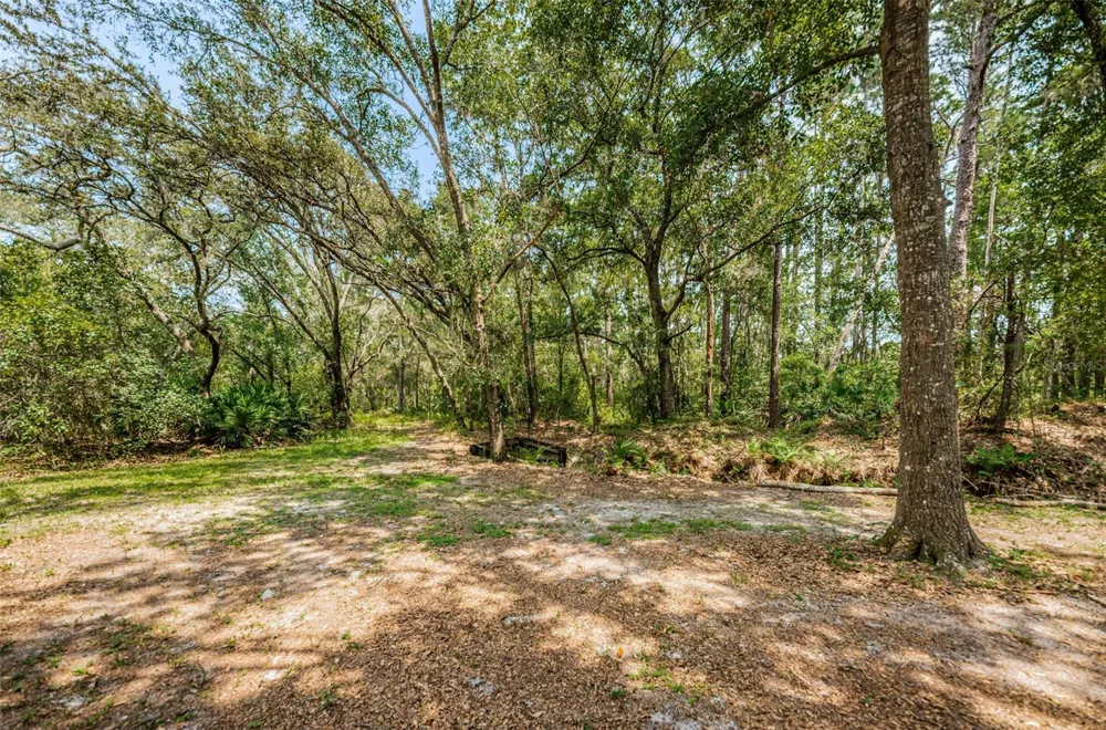 COQUI COURT Odessa, FL 33556